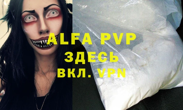 прущие грибы Алзамай