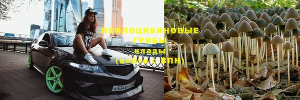 мяу мяу мука Алексеевка