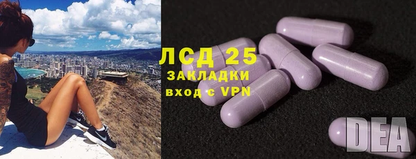 прущие грибы Алзамай